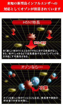 �O�t�������玩�R�Ȕz�u�I