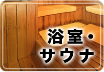 �����E�T�E�i