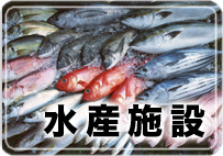 ���Y�{��