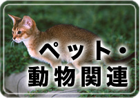 �y�b�g�E�����֘A