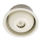 ���I���V�[�����O